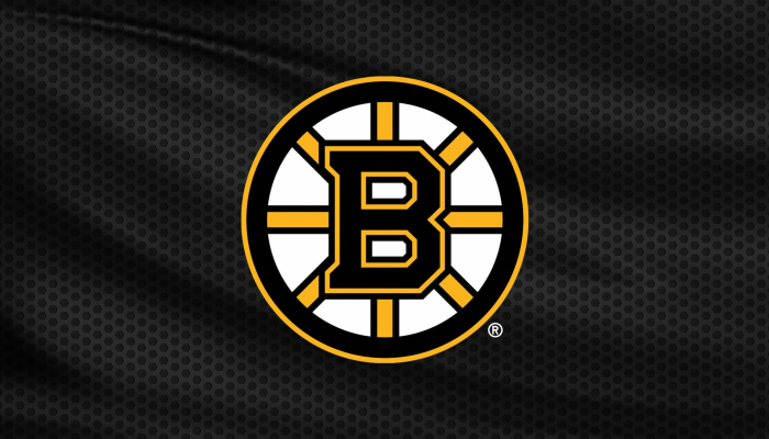 Boston Bruins vs. Ottawa Senators