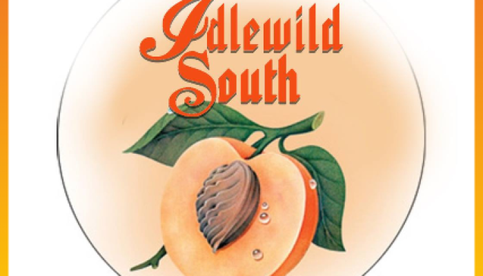 Idlewild South - Tribute to the Allman Brothers at Woodlands Tavern