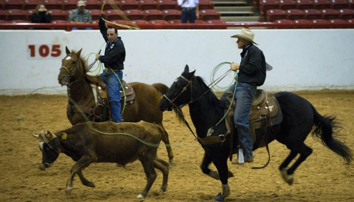 Stampede Bullriding Rodeo