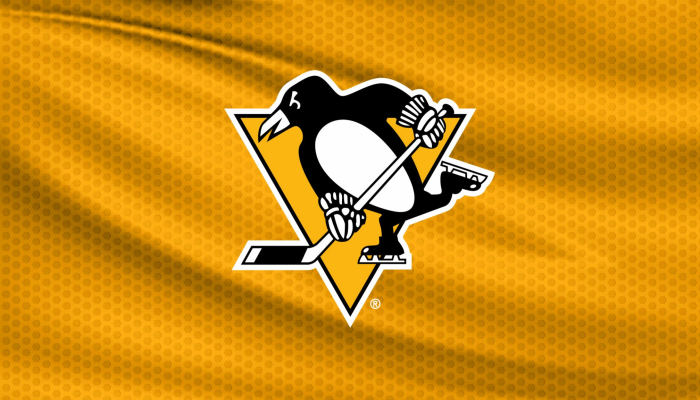 Pittsburgh Penguins Season Ticket Interest Form