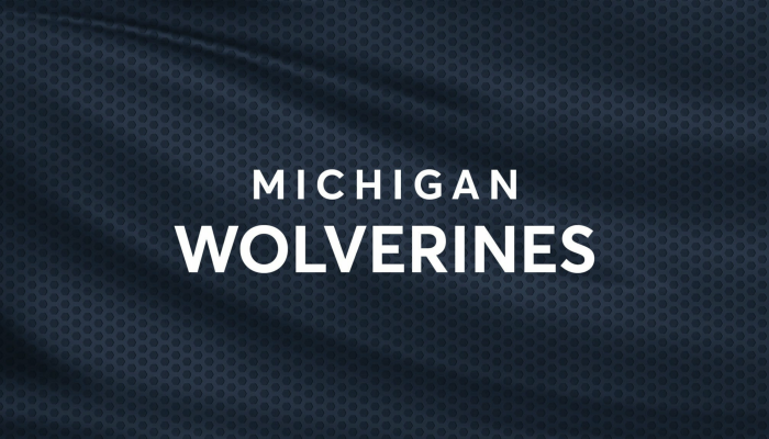 Michigan Wolverines Football vs. Northwestern Wildcats Football